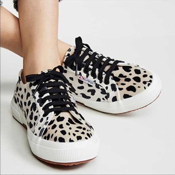 dalmatian superga